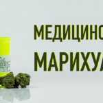 Кабинет министров Украины легализировал медицинскую марихуану avtomag-kiev-kabinet-ministrov-ukrainy-legaliziroval-medicinskuyu-marihuanu-1