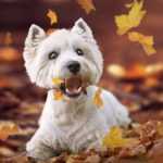 tmb_210052_1888-1280x720