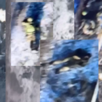 дохлая русня