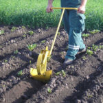 1473948417_kultivator-ruchnoy-1