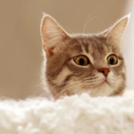 Скриншот 04.01.24_22.05.25