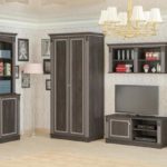 Выбор мебели gostinaya-mebel-servis-bristol-