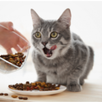 Скриншот 07.02.24_18.48.37