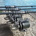 4920802205_w600_h600_kraschi-byudzhetni-koropovi