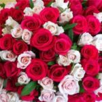 Що означають різні види та кольори квітів у різних культурах 1f9fd9754554.w640.640x320