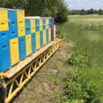 5f283c29fb1ca53fae19bfaa17055cd5_M