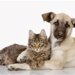 Скриншот 02.06.24_14.20.51