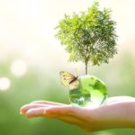 Екологічно чиста техніка для дому: Як вибрати без шкоди для природи Буфер обміну01