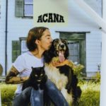 Скриншот 04.03.25_16.13.18