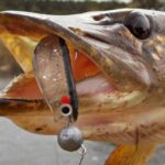 Скриншот 05.03.25_17.07.06