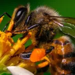 vRAsA0HvM2sW7KxdEXfBQRp8mNEpQ7DnQgX5ahpW