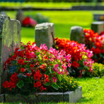 nakladovischah-550x350