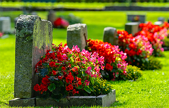 Чи є в Кіровоградській області занедбані старі кладовища — огляд і проблематика